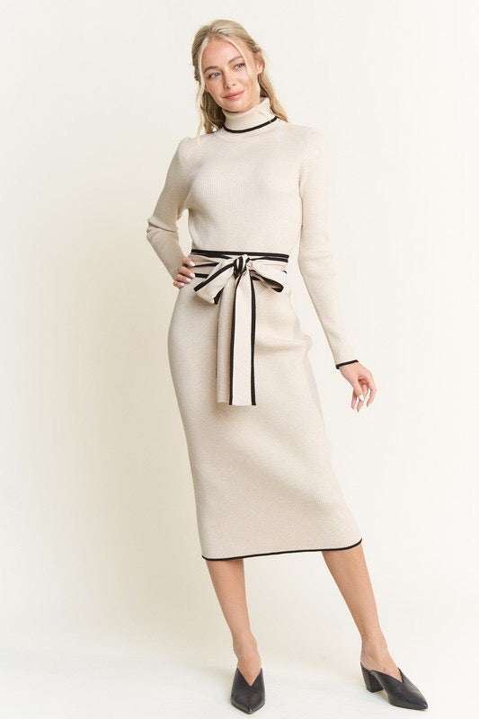 Long Sleeve turtleneck Dress